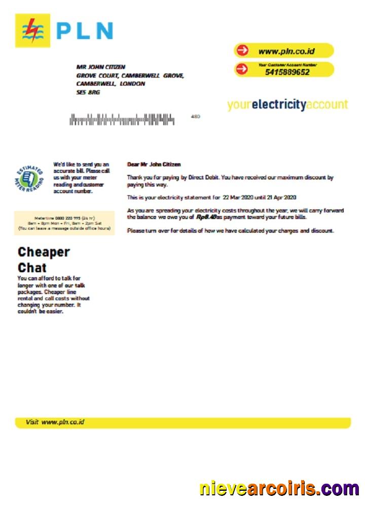 Indonesia PLN electricity utility bill